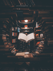 단편, 조각글 모음