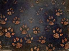 [가토 / XX / 35 / 서쪽]