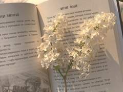 선상파티 살인사건