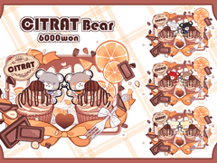 미니 고정틀 타입