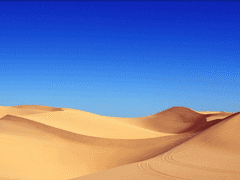 [닌자고] 사해(沙海) {제이니야}