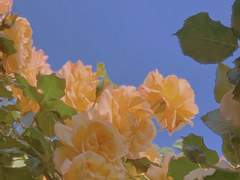 트위터 썰 백업 3