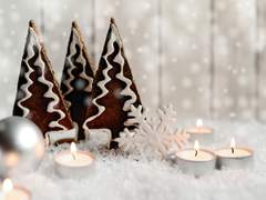 [닌자고] 산타는 없지만 그게 무슨 상관이람 (레고 전력 60분)