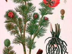 A letter from February 15 that the frosty wind blows