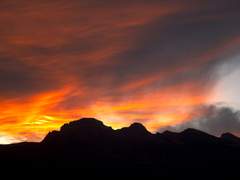 스왈로(swallow) / 29 / XY / 대형 제약사 수석 연구원