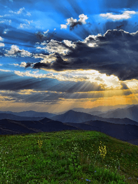 레이호크 T. 아른프리트의_