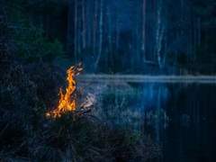 가치가 떨어진 너는 나를 필요로 할수밖에 (2)