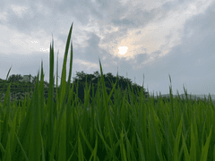 어쩌면 마지막 국토대장정 세대