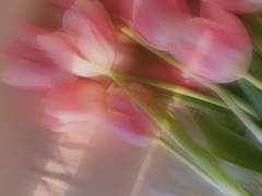 너랑 내 이별의 자연스러움