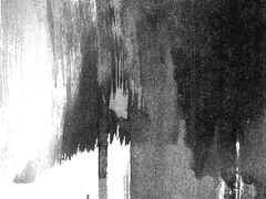 개발자 블로그로 포스타입을 선택한 이유