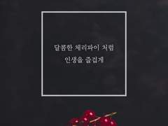 글그램 <체리파이>