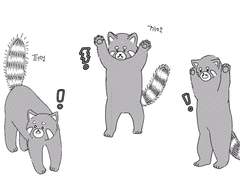 이상한 나라의 궁주님