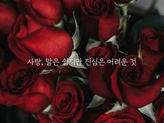 글그램 <말과 진심>