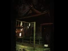 일본의 어느 신사 속 무언가