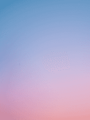 오늘을 고합니다