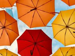 [재영상우] 비타민