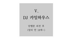 Ⅴ. DJ 카일하우스