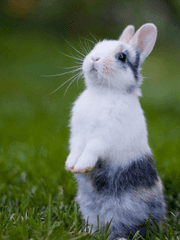 화향 가득한 편지지