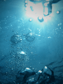 다들 언젠간 담군다