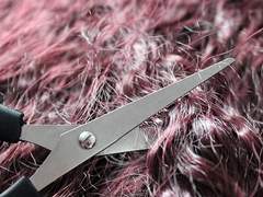 [줄리시즈] 오리지널