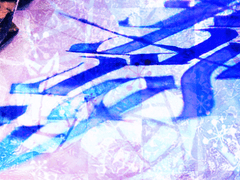 겨울을 버티는 대신