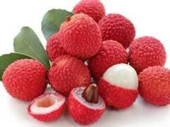 장편소설(연재중)/<타인의 해석>4/이도은