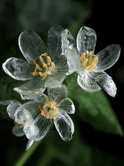 독자와 함께하는 공간