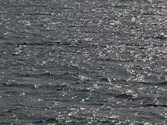 네 사유가 사랑이 될 때