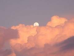 사랑 때문에 자살하면 안 돼요?