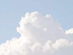 딜레마에 빠지게 된 걸 축하드립니다 ʚ♥ɞ