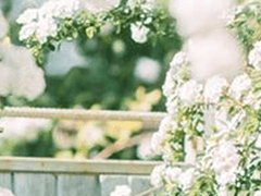 아나이스 C. 아델라이데ㅣ12ㅣ정령학부