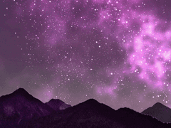 아미테레가의 분열