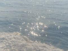 창가 앞 내지르던 세레나데