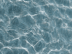 사랑, 죽음, 사랑