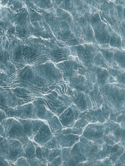 사랑, 죽음, 사랑