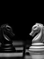 살인과 추리의 공모