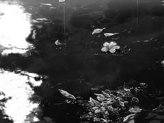 흑백으로 가득 차버린 4월은,