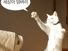 꼬우면 나가자! TALK 2