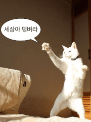 꼬우면 나가자! TALK