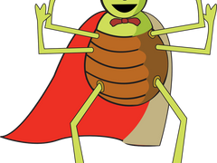 자기 제한에 대하여/이도은