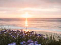 순애의 새벽하늘