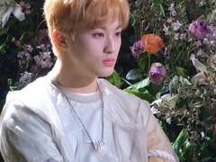 앨리스 케이크버스