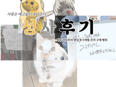 일라아스 성사 후기 - 2