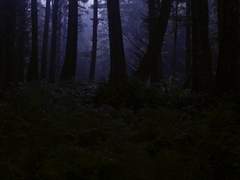 𝐋𝐢𝐛𝐞𝐫𝐚𝐭𝐨𝐫