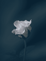 제 룸메는 하이드씨입니다