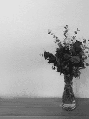 대공님의 노예가 되었습니다