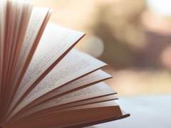 오직 작가의 선택이기에