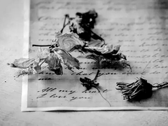 녹색 장미 한 송이