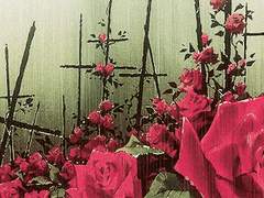 바보 같은 사람들