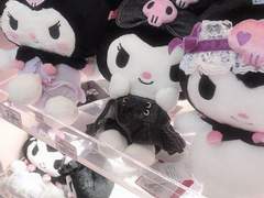 🎀마시마로 아야카_